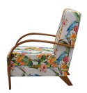 Fotel Fin Parrot Fotel Fin Parrot