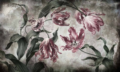 Tapeta ścienna Belicia Tapeta ścienna Belicia