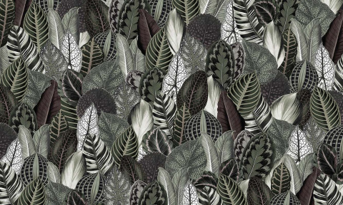 Wallpaper Botanica Wallpaper Botanica