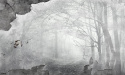 Tapeta ścienna Illusion Tapeta ścienna Illusion