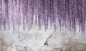 Tapeta ścienna Wisteria Tapeta ścienna Wisteria