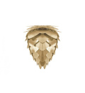 Lampa Conia Lampa Conia