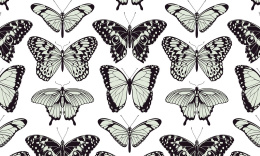 Eco-Wallpaper Wand BUTTERFLY