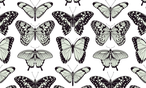 Eco tapeta scienna BUTTERFLY Eco tapeta scienna BUTTERFLY
