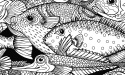 Eco tapeta scienna FISH Eco tapeta scienna FISH