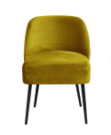 Armchair Polo Velvet Armchair Polo Velvet