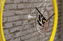 Clock Blackout Clock Blackout