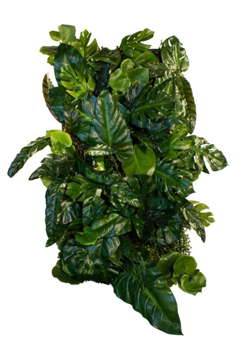 JUNGLE BOOST JUNGLE BOOST