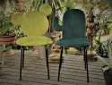 Cactus Chair Cactus Chair