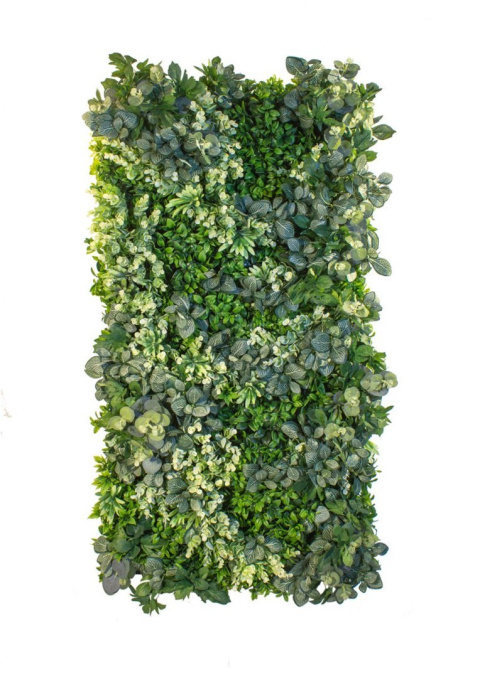 LITTLE GREEN LITTLE GREEN