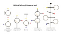 Ceiling lamp Ballu Ceiling lamp Ballu
