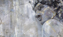 Tapeta ścienna DAVID Tapeta ścienna DAVID