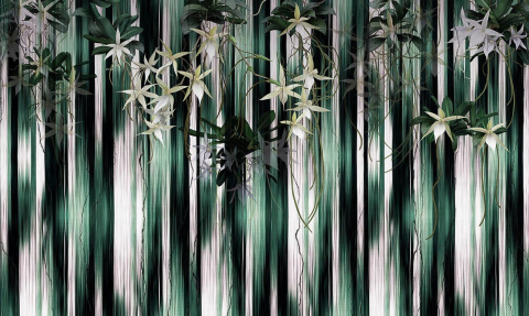 Wallpaper Native Wallpaper Native