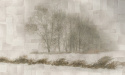 Tapeta ścienna Nebbia Tapeta ścienna Nebbia