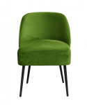 Armchair Polo Velvet Armchair Polo Velvet