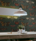 Tapeta Butterflies and moths od Wallcolors rolka 100x200