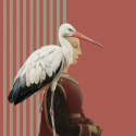 Canvas print "Stork Lady Stripes "